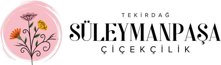 Referans 31